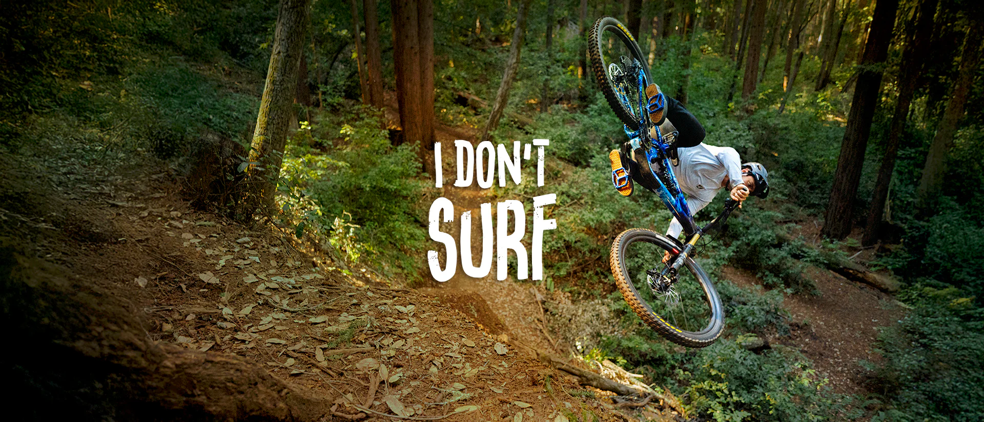 Elevate Your Ride Today